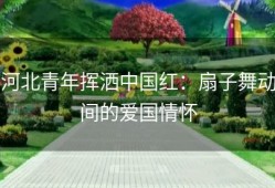 河北青年挥洒中国红：扇子舞动间的爱国情怀