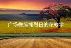 广场舞簇拥烈日的花教学