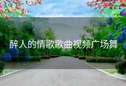 醉人的情歌歌曲视频广场舞