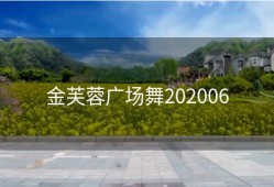 金芙蓉广场舞202006