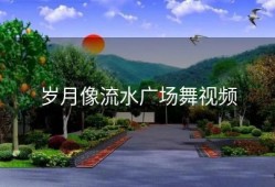 岁月像流水广场舞视频