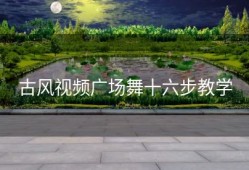 古风视频广场舞十六步教学