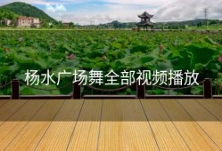 杨水广场舞全部视频播放