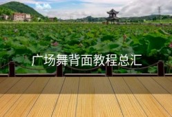 广场舞背面教程总汇