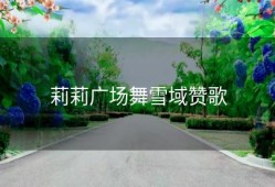 莉莉广场舞雪域赞歌