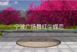 宁波广场舞红尘蝶恋