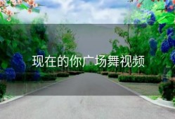 现在的你广场舞视频