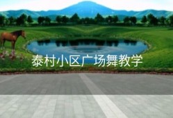 泰村小区广场舞教学