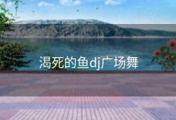 渴死的鱼dj广场舞