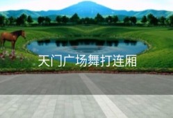 天门广场舞打连厢