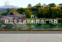 精品电音迪斯科舞曲广场舞