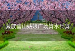 藏族雪山姑娘广场舞水兵舞