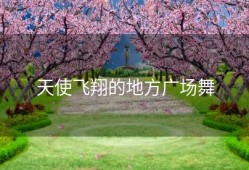 天使飞翔的地方广场舞