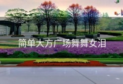 简单大方广场舞舞女泪