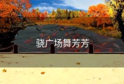 骁广场舞芳芳