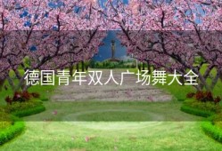 德国青年双人广场舞大全