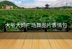大爷大妈广场舞图片表情包