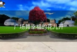 广场舞幸福的花儿开