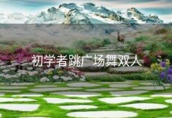 初学者跳广场舞双人