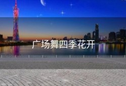 广场舞四季花开