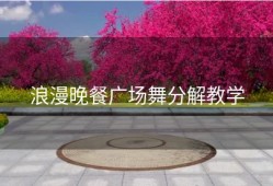 浪漫晚餐广场舞分解教学