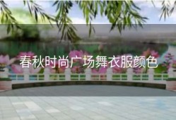 春秋时尚广场舞衣服颜色