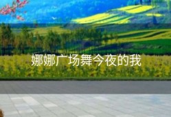 娜娜广场舞今夜的我