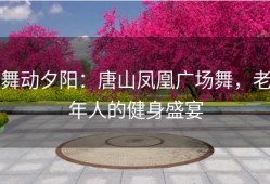 舞动夕阳：唐山凤凰广场舞，老年人的健身盛宴