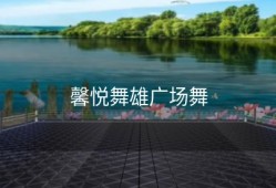 馨悦舞雄广场舞