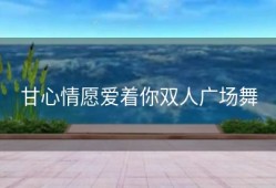 甘心情愿爱着你双人广场舞