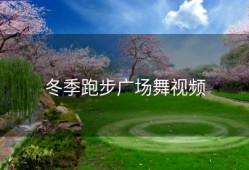 冬季跑步广场舞视频