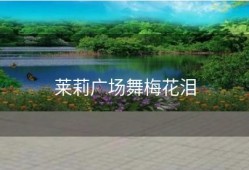 莱莉广场舞梅花泪
