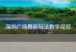 深圳广场舞新玩法教学视频