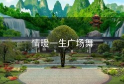 情暖一生广场舞