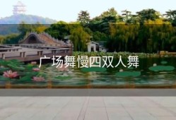 广场舞慢四双人舞