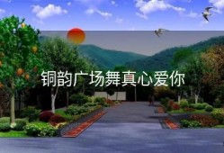 铜韵广场舞真心爱你