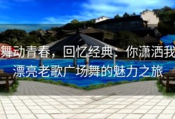 舞动青春，回忆经典：你潇洒我漂亮老歌广场舞的魅力之旅