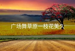 广场舞草原一枝花美久