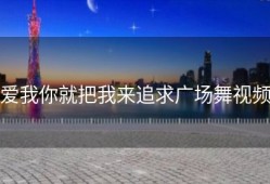 爱我你就把我来追求广场舞视频