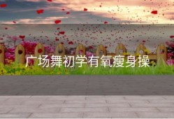 广场舞初学有氧瘦身操