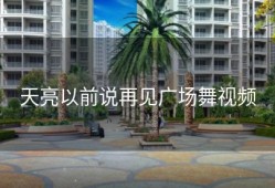天亮以前说再见广场舞视频
