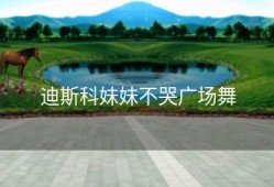迪斯科妹妹不哭广场舞