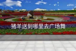 猪羊送到哪里去广场舞