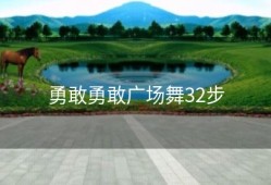 勇敢勇敢广场舞32步