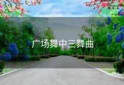 广场舞中三舞曲
