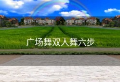 广场舞双人舞六步