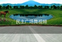 民主广场舞视频