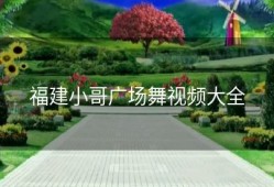 福建小哥广场舞视频大全