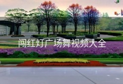 闯红灯广场舞视频大全