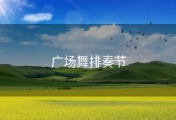 广场舞排奏节